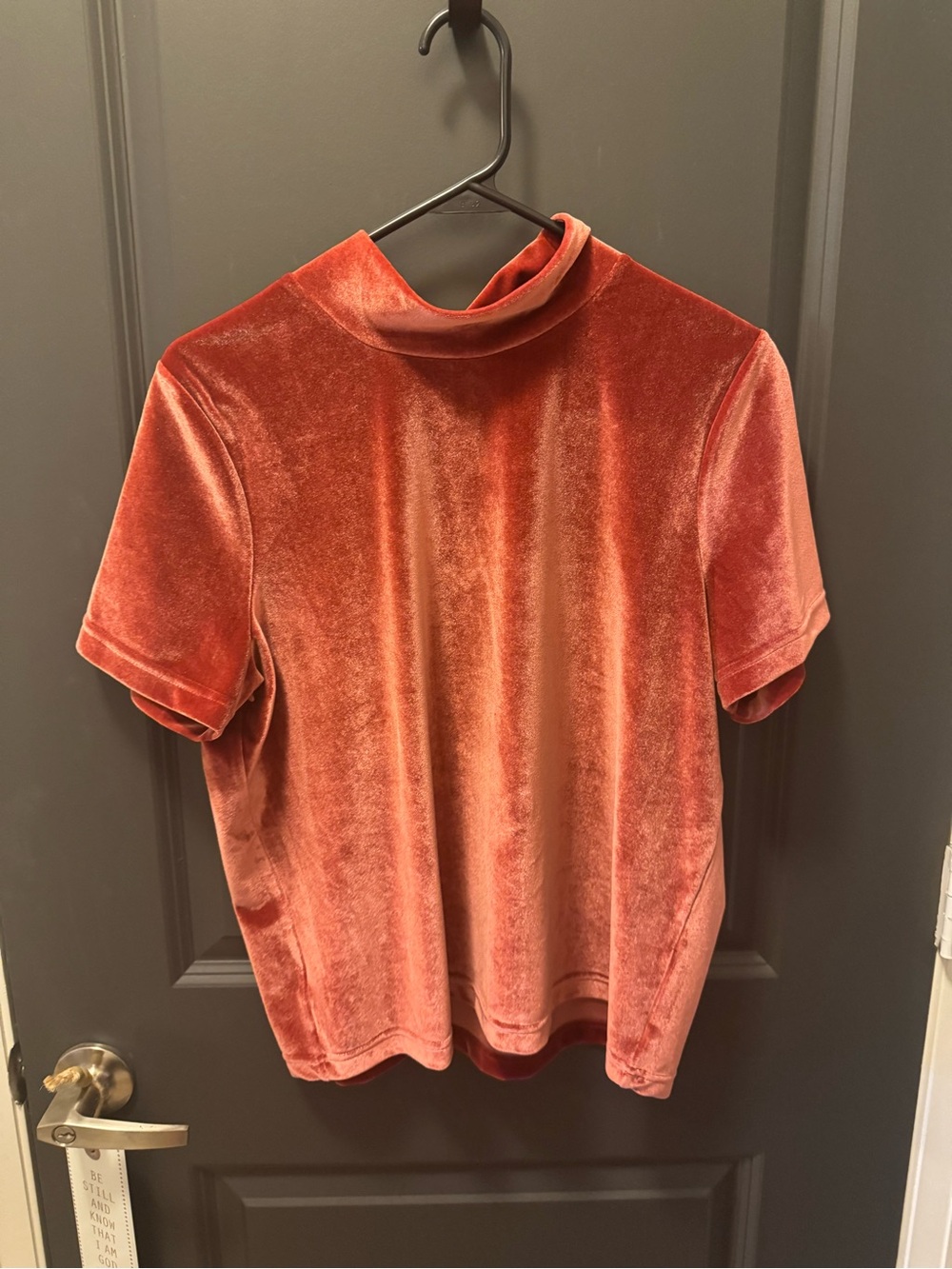 Madewell Velvet Mock Neck Tee in Rust Orange